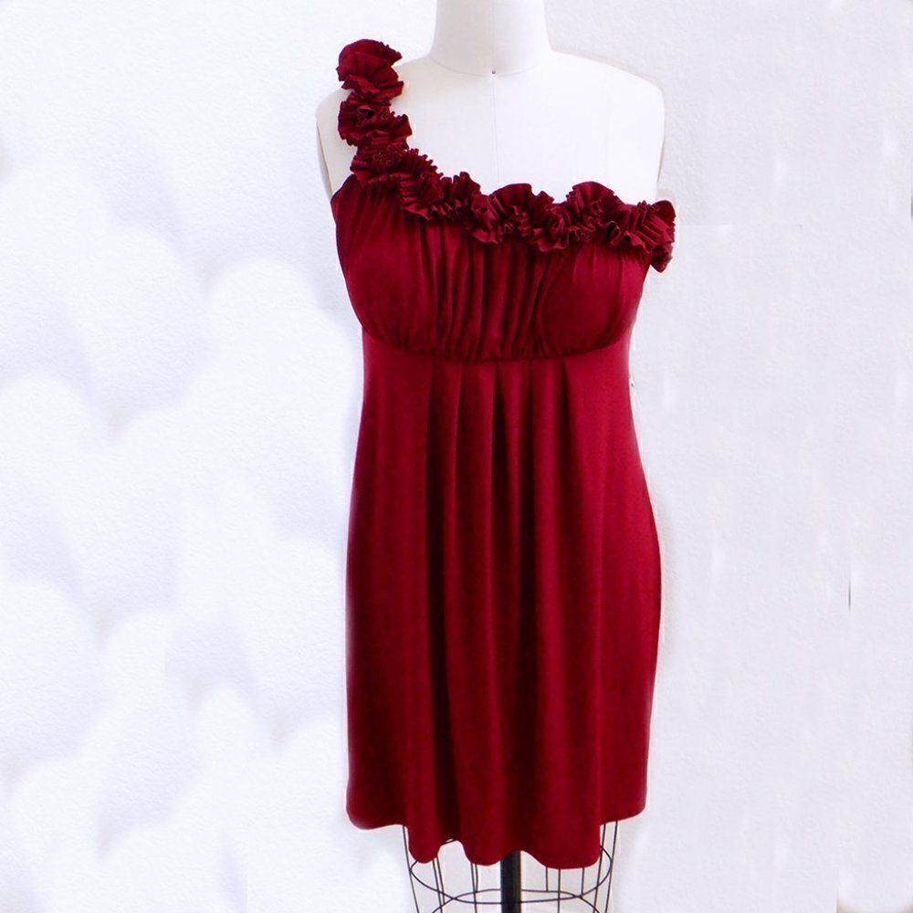 En Focus Maroon cinnamon one shoulder ruffle dress